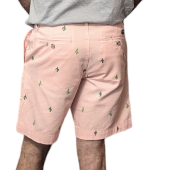 CHAPS • RALPH LAUREN Costland Wash Cactus Print Shorts ~ NWT - Picture 2 of 11